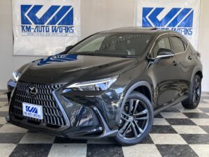 新入庫車情報【NX250】